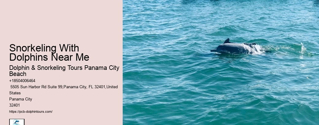 Snorkeling And Diving In Panama City Beach