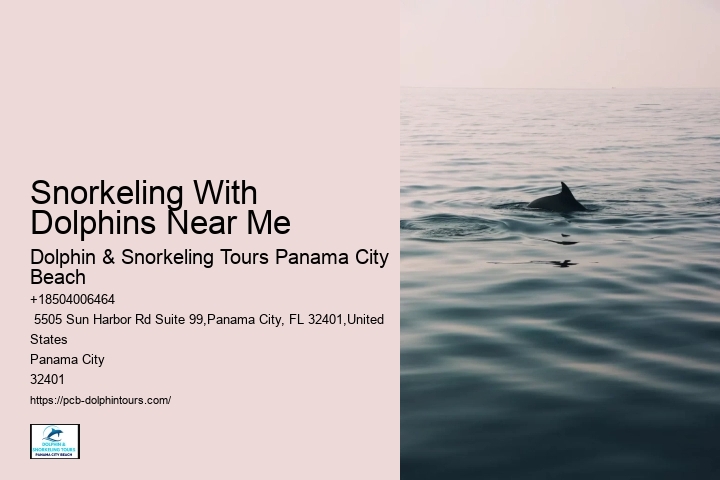 Dolphin Spotting